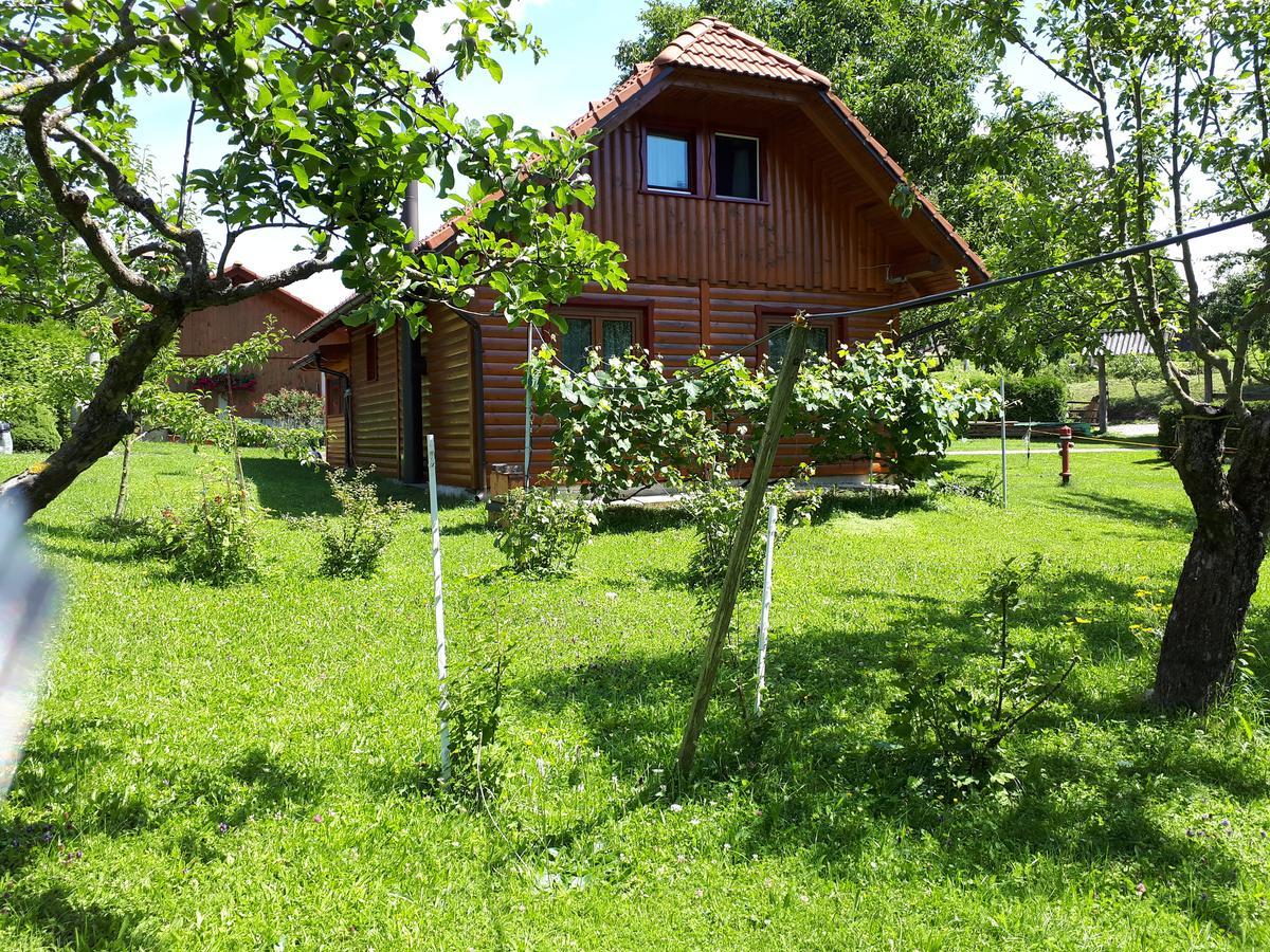 Tourist Farm Znidarjevi Villa Kozljek Luaran gambar