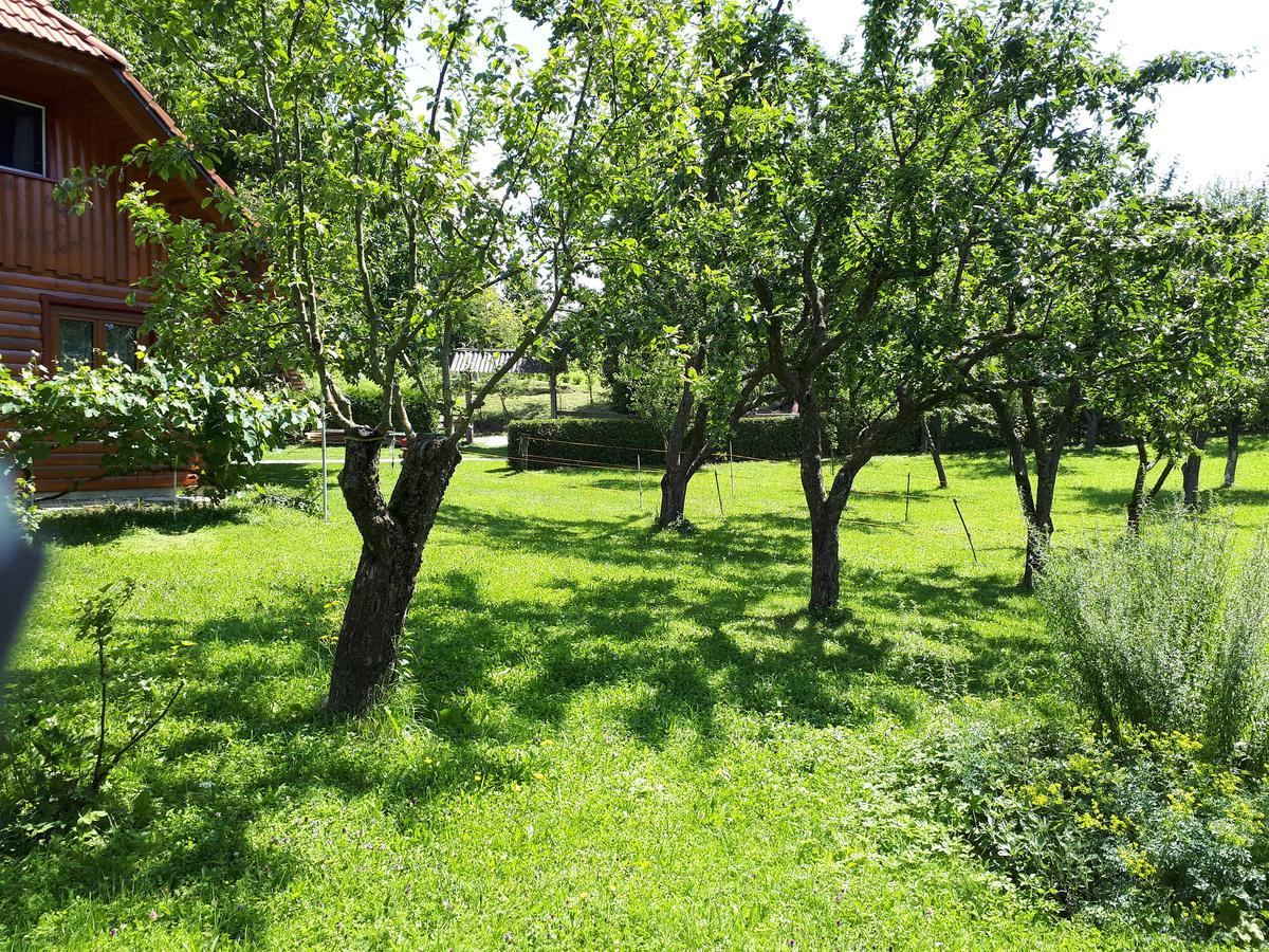 Tourist Farm Znidarjevi Villa Kozljek Luaran gambar