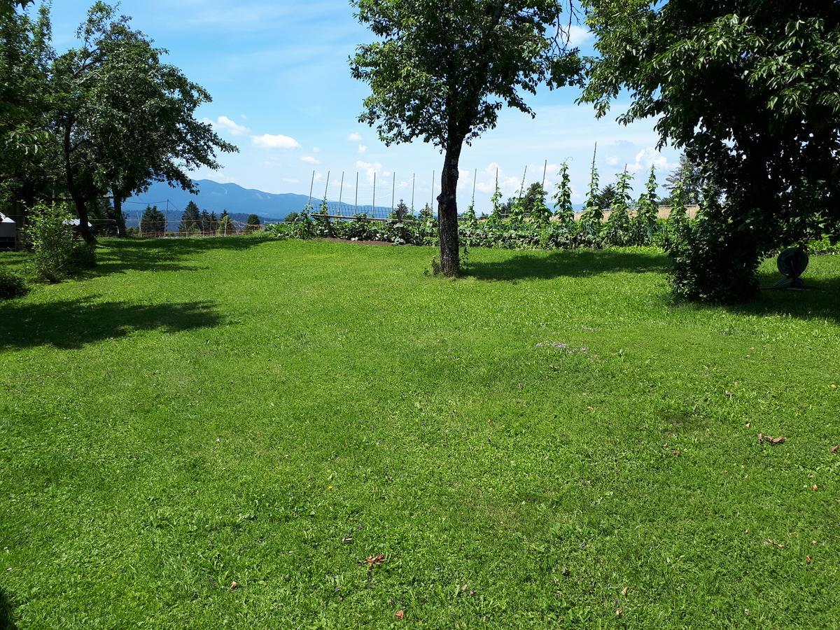 Tourist Farm Znidarjevi Villa Kozljek Luaran gambar